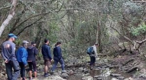 Bathurst Striders walking